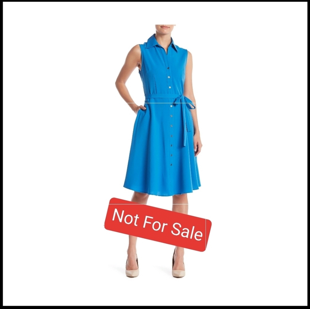 ISO Sharagano Sleeveless Shirtdress